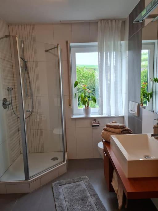 Ferienwohnung Panoramablick باد ميرغنثيم المظهر الخارجي الصورة