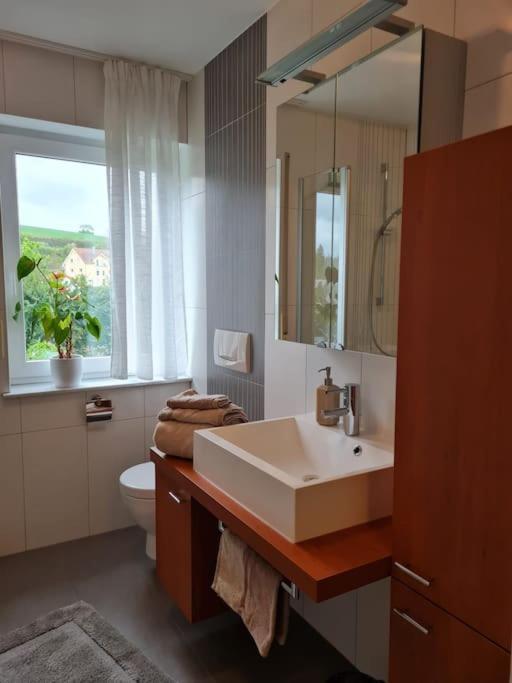 Ferienwohnung Panoramablick باد ميرغنثيم المظهر الخارجي الصورة