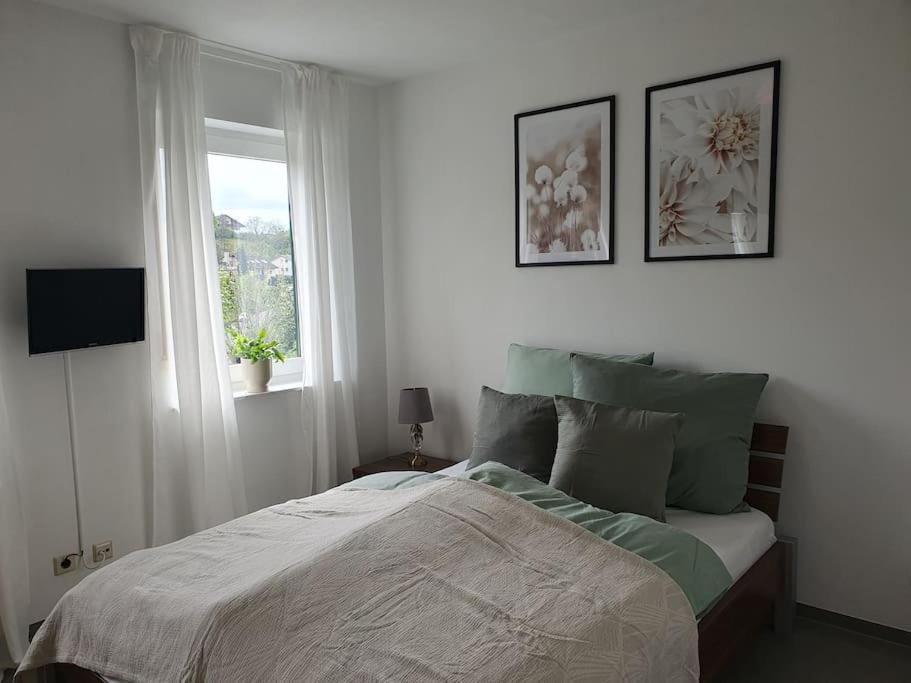 Ferienwohnung Panoramablick باد ميرغنثيم المظهر الخارجي الصورة